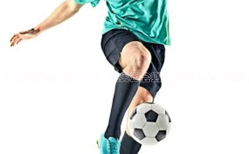 j9九游会国际站官方网站