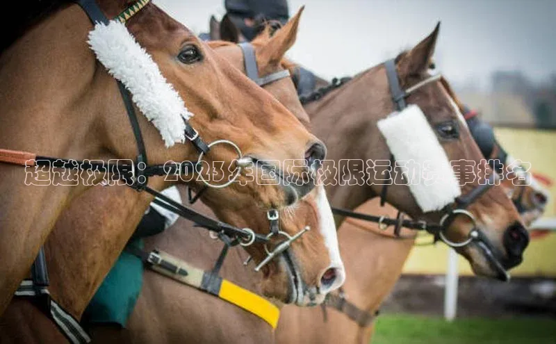 j9九游会官网真人游戏第一品牌