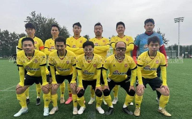 2024年江苏体育盛事：精彩纷呈的运动盛宴回顾与展望